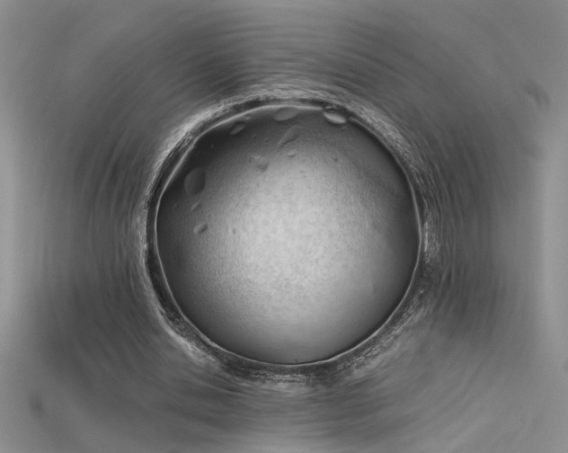 X0000115680438200911121249