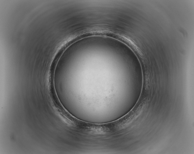 X0000115680439200911121249