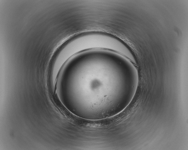 X0000115680440200911121249