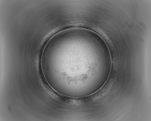 X0000115680442200911121250