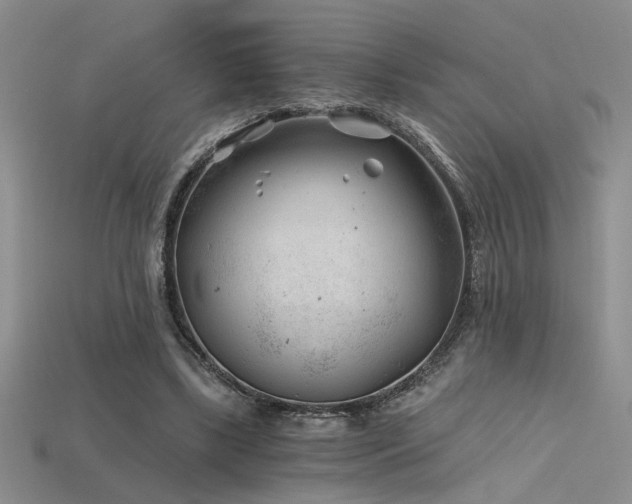 X0000115680443200911121250