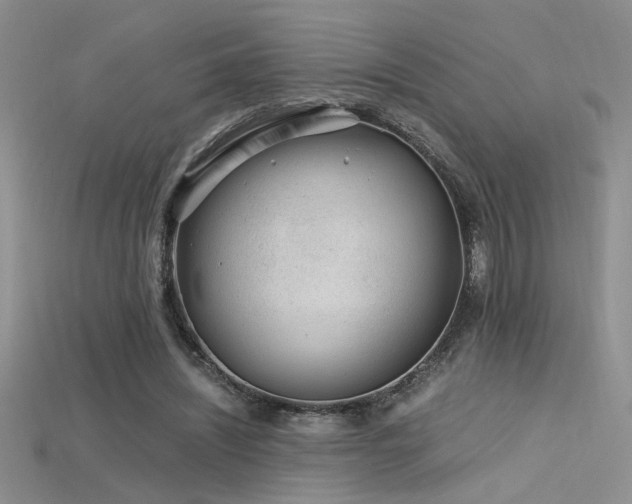 X0000115680444200911121250