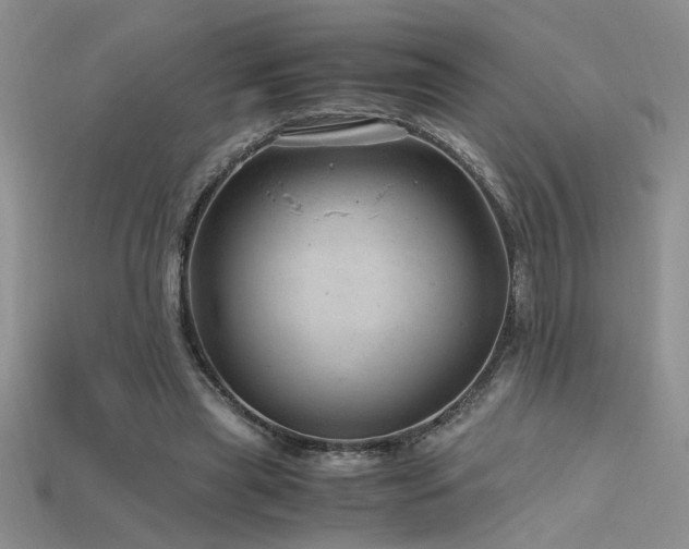 X0000115680445200911121250