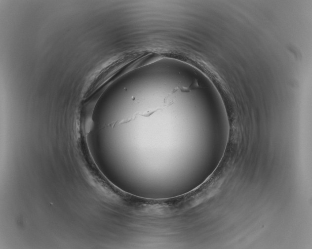 X0000115680446200911121250