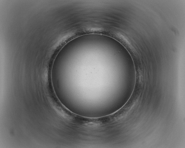 X0000115680447200911121250