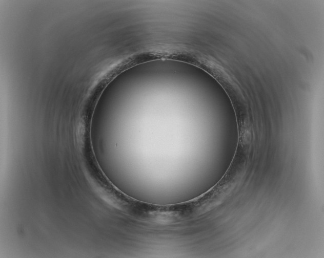 X0000115680448200911121250