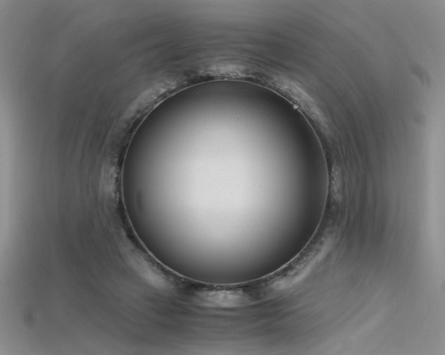 X0000115680449200911121250