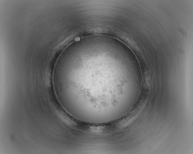 X0000115680450200911121250