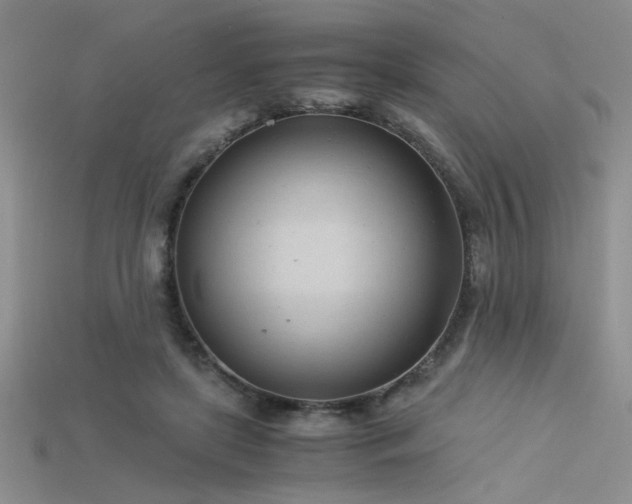 X0000115680451200911121250