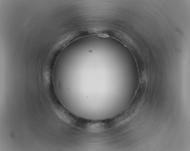 X0000115680452200911121250