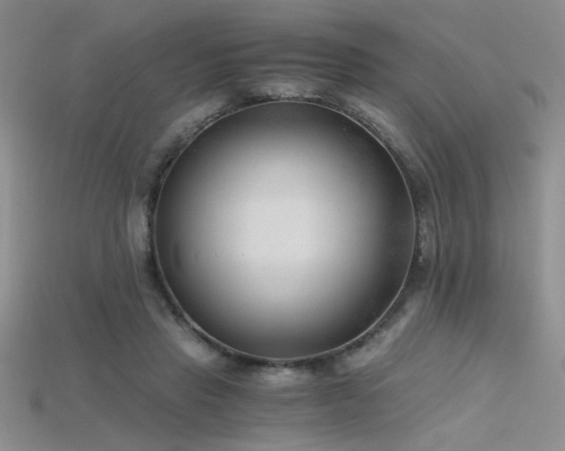 X0000115680453200911121250