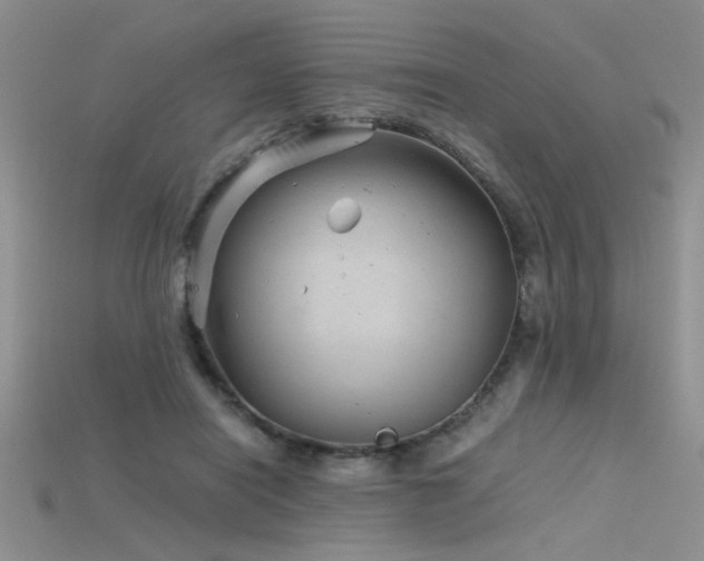 X0000115680454200911121250