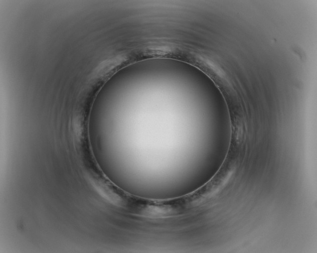 X0000115680455200911121250