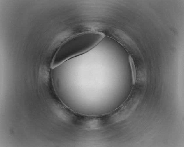 X0000115680456200911121250