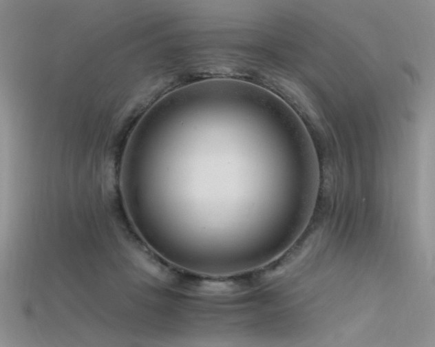 X0000115680457200911121250