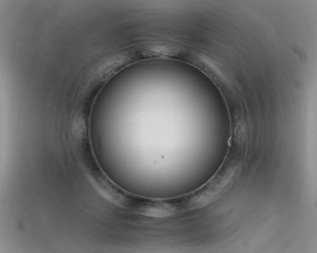 X0000115680459200911121250