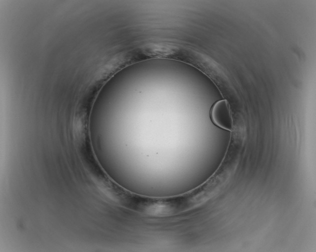 X0000115680460200911121250