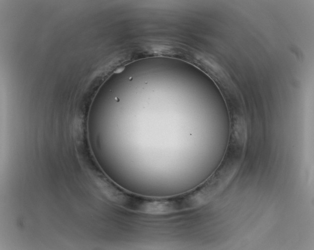 X0000115680461200911121250