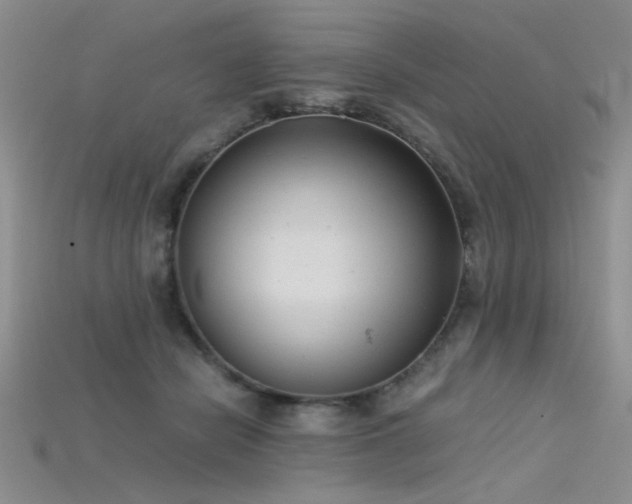 X0000115680462200911121250