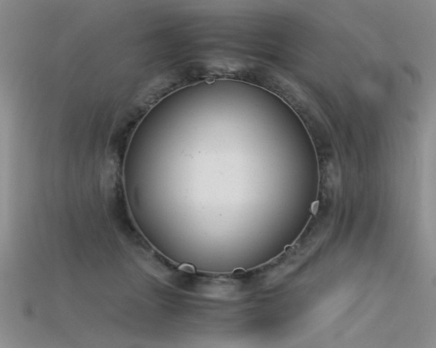 X0000115680463200911121250