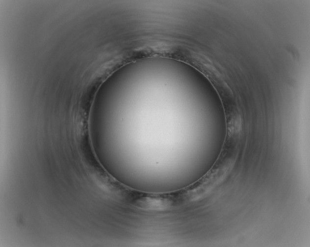 X0000115680464200911121250