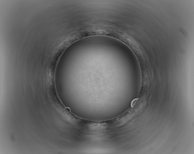 X0000115680465200911121250