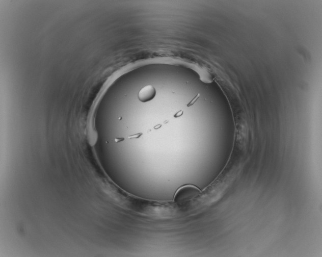 X0000115680466200911121250