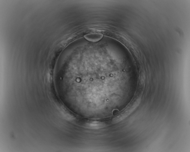 X0000115680467200911121250