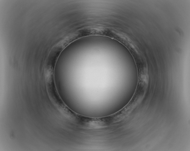 X0000115680468200911121250