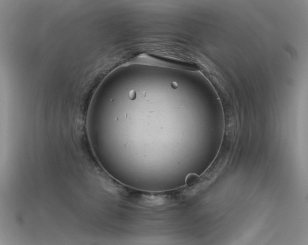 X0000115680469200911121250