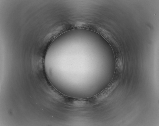 X0000115680470200911121250