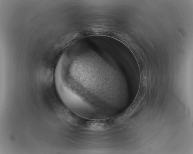 X0000115680471200911121250