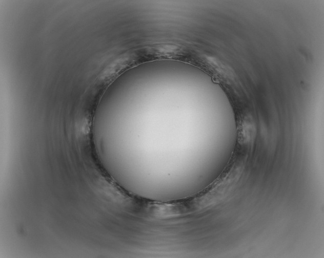 X0000115680472200911121250