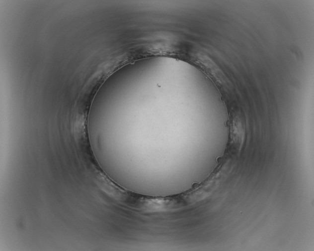 X0000115680473200911121250