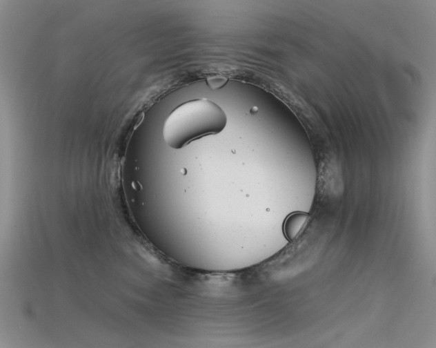 X0000115680474200911121250