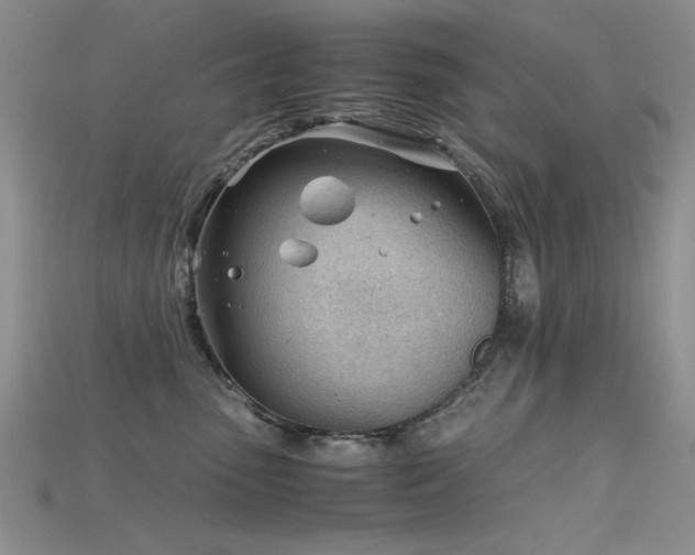 X0000115680475200911121250