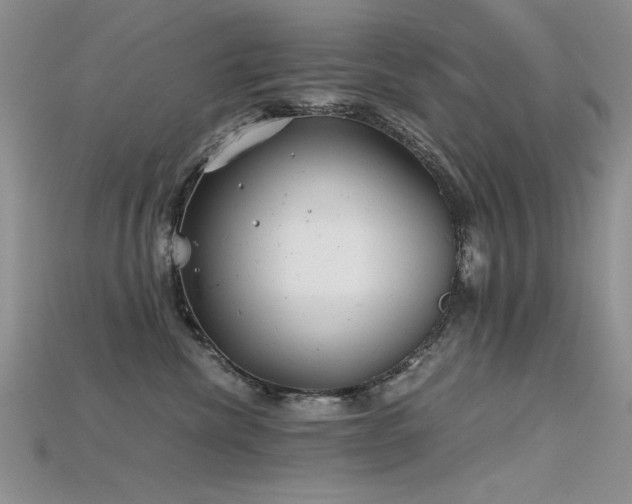 X0000115680476200911121250