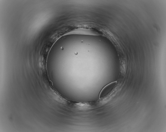 X0000115680477200911121250