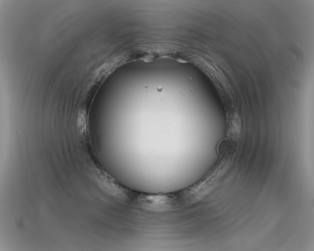 X0000115680478200911121250