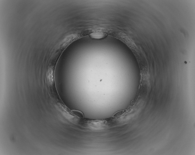 X0000115680479200911121250