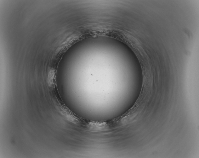 X0000115680480200911121250