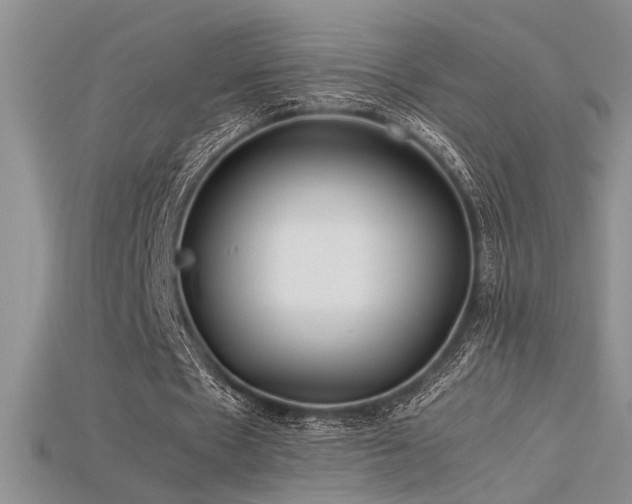 X0000115680481200911121249