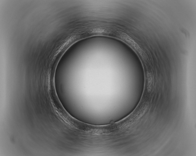 X0000115680482200911121249