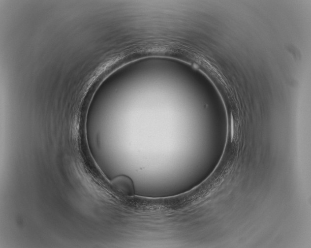 X0000115680483200911121249