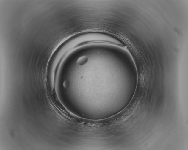 X0000115680484200911121249