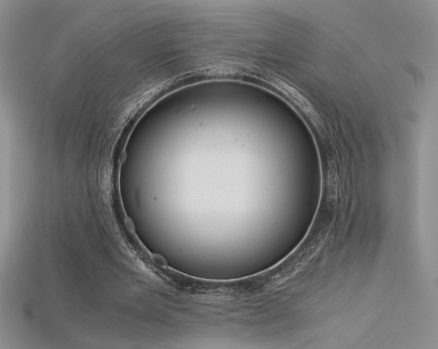 X0000115680485200911121249