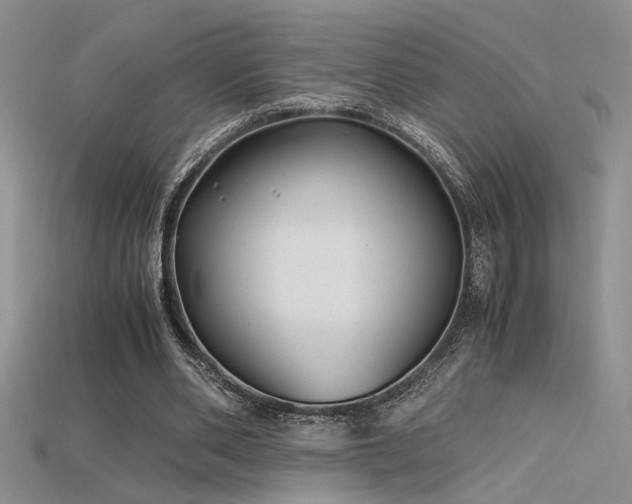 X0000115680486200911121249