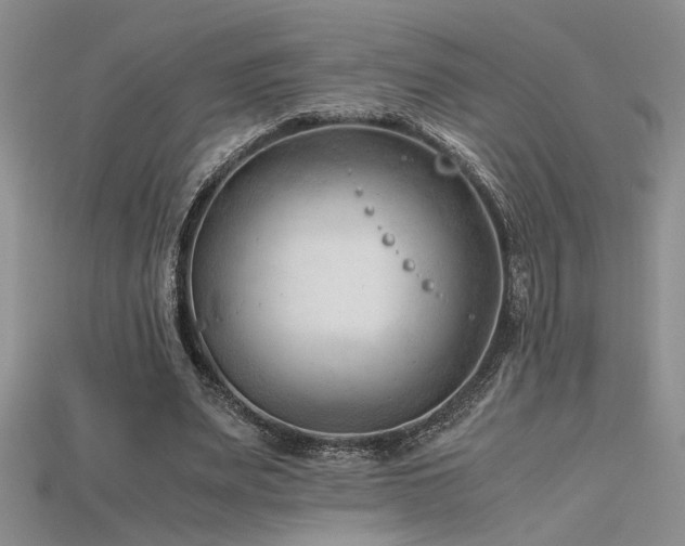 X0000115680487200911121249