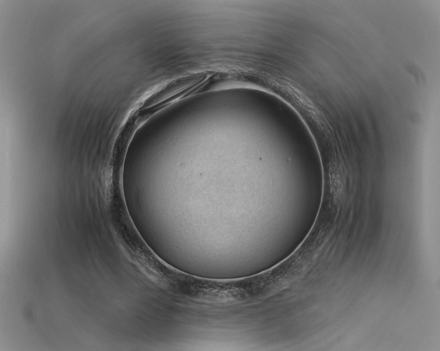 X0000115680488200911121249