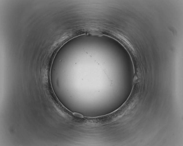 X0000115680489200911121249